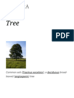 356689163-Trees.pdf