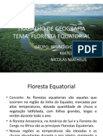 Floresta Equatorial