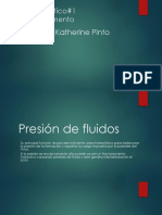 Presión de Fluidos CEMENTO