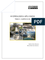 Tema - 5 - v2.PDF para Tp6 Piscina Nivelada 2019