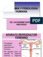 Clase 13 Aparato Reproductor Femenino