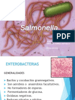 Diapos Salmonella Solo Laboratorio