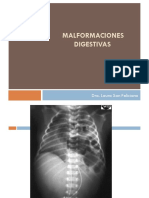 Malformaciones digestivas.pdf