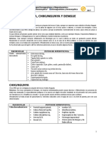Manual Prog Bioenergética Rolando