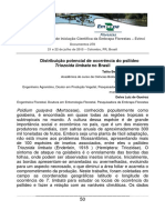 distribuição triozoida limbata.pdf