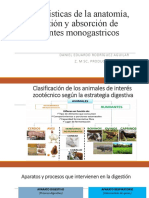 Características de La Anatomía, Digestión y Absorción