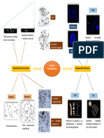 Mapa Mental. Tecnicas Citogeneticas