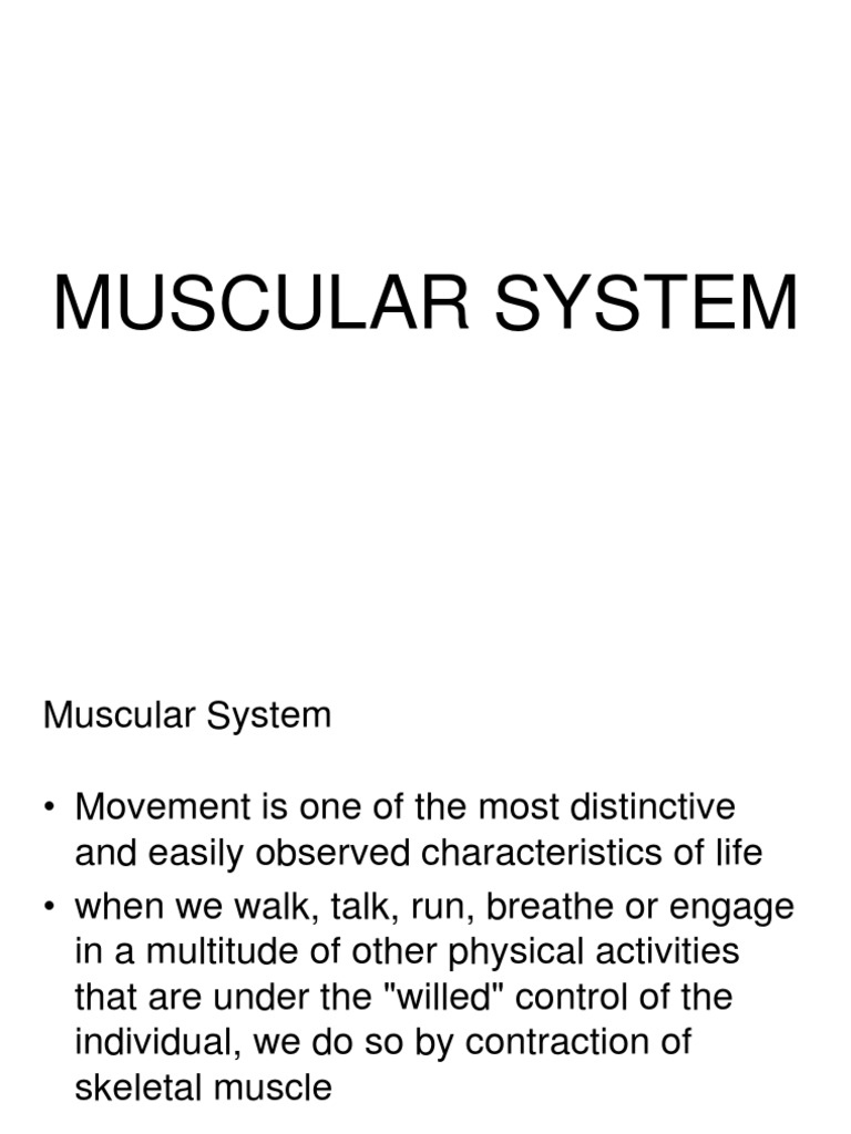 Muscular System Overview | PDF | Muscle Contraction | Human Leg