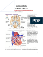 Anatomi dan Fungsi Sistem Kardiovaskuler
