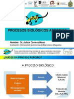 3 Procesos Aerobios PDF