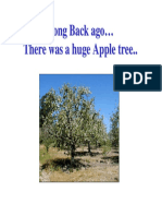 Apple_tree.pdf