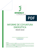 Energy Consilium - Informe Julio 2019