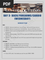 Day 3-Back/Forearms/Cardio (Wednesday) : Workout Plan