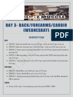 Day 3-Back/Forearms/Cardio (Wednesday) : Workout Plan