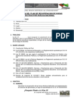 FORMATOS_SUGERIDOS_PLAN_RECUPERACIoN.docx