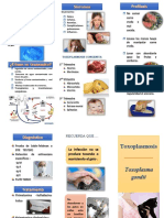 Triptico Final TOXOPLASMA