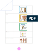 Imagenes para Diarios de Anatomia