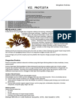 7) Protista X-1 Ok