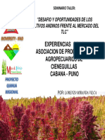 Experiencia_exitosa_en_Puno.pdf