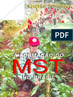 A formação do MST no Brasil