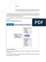 Percepción y Toma de Decisiones