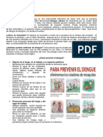 28 Prevencion Del Dengue