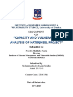 Capacity and Vulnerablity Analysis of Hatirjheel Project"