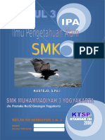 modul-ipa-kls-34.doc