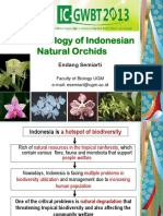 Biotechnology of Indonesian Natural Orchids: Endang Semiarti