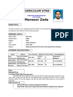 Mansoor Zada: Curriculum Vitae