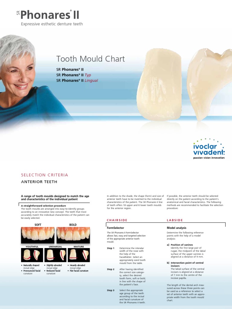 SR Phonares II Tooth Mould Chart PDF Tooth Dentures