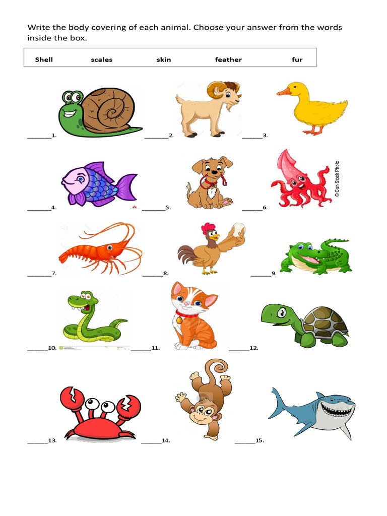 Animals With Shell Body Covering
