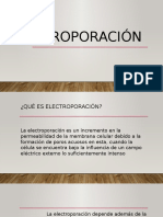 ELECTROPORACIÓN