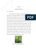 Pustaka Umbi Garut PDF