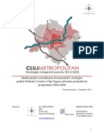 Sidu Cluj Final PDF