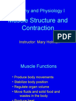 Anatomy and Physiology I: Muscle Structure and Contraction