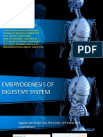 Digestive System - Kelompok A4