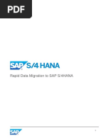 Rapid Data Migration To SAP S/4HANA