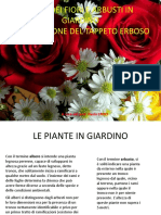 Corso Giardinaggio - Dispensa Prof Croci per iscritti.pdf