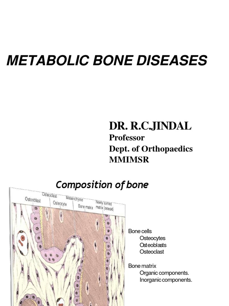 Pelkan Spur in Metabolic Bone Diseases | PDF | Osteoporosis | Bone