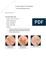 Laporan Akhir Praktikum 2 Farmakognosi Analisis Mikroskopik Folium