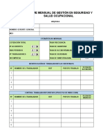 FORMATO-INFORME-MENSUAL (1).xlsx