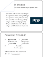 perkawinan-trihibrid-akram.pptx
