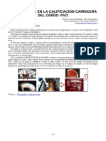 08-ecografia_en_calificacion_cerdo_vivo.pdf