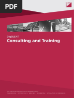 Consulting Brochure en