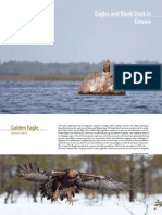 EagleLIFE_Brochure1