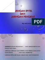 Jaringan Epitel Dan Jaringan Ikat