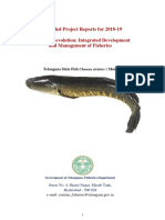 DPR Fisheries