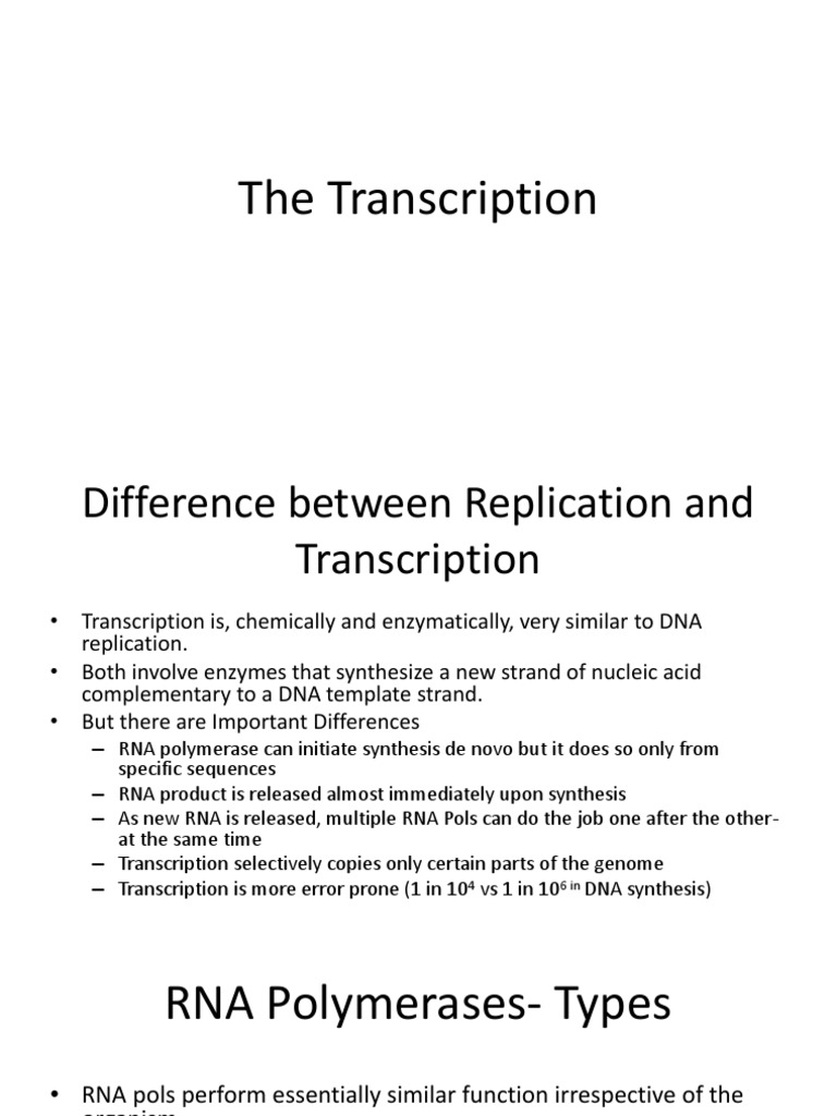 3 Transcription | PDF | Rna | Promoter (Genetics)