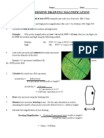 Day 02 - Drawing - Magnification - How - To v.003